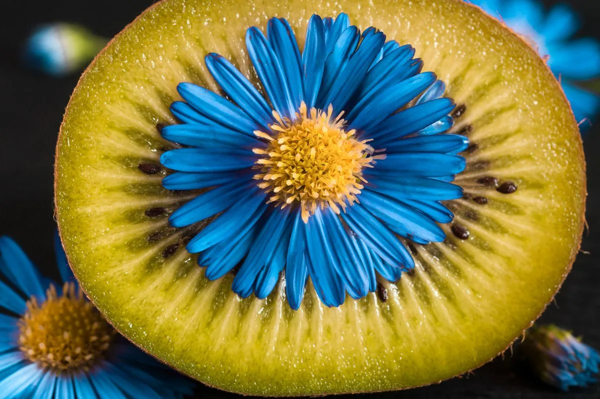 Stage et ateliers de photographie - Spéos l'école photo - © Patrick OLIN