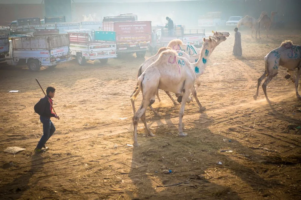 Daniel Barreto Mezzano