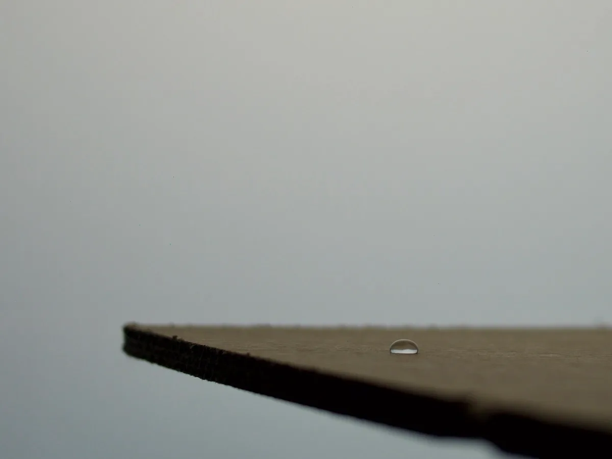 Frédérique Fleurance