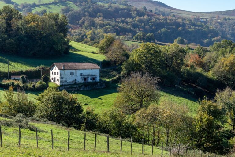 Silver Efex: The World in Black and White